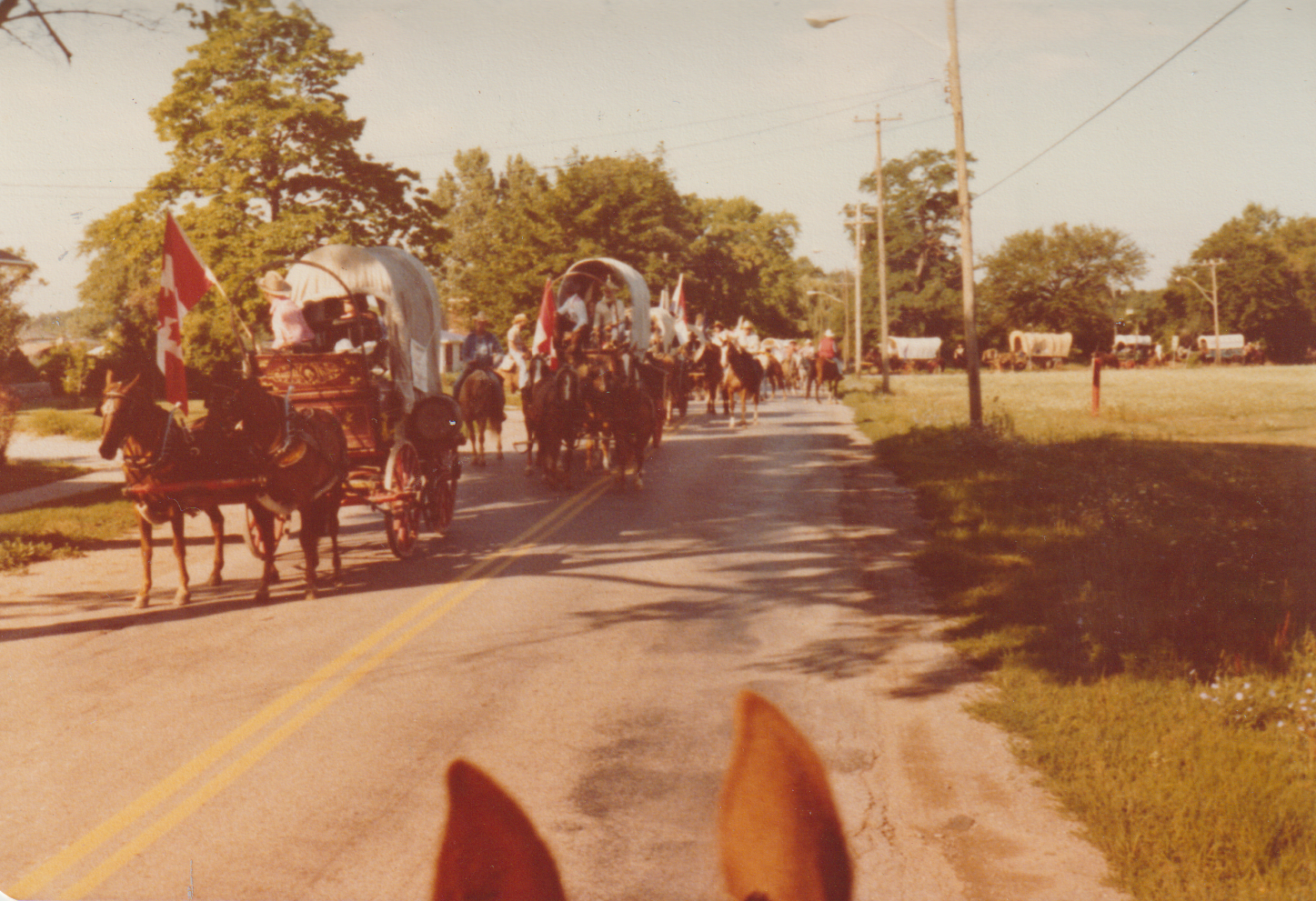 The Wagon Train Ride 1978