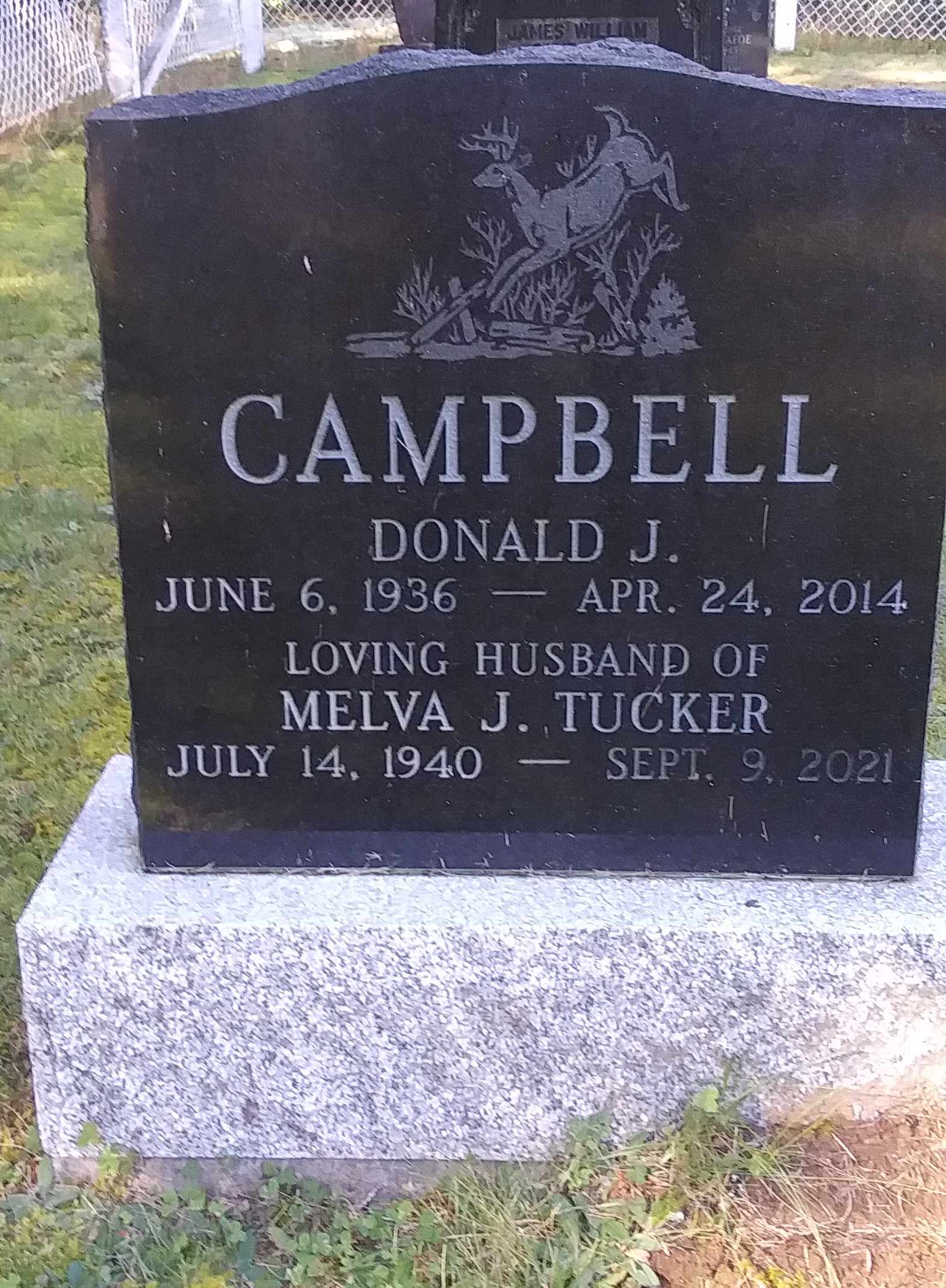 Donald Campbell, Clydesdale