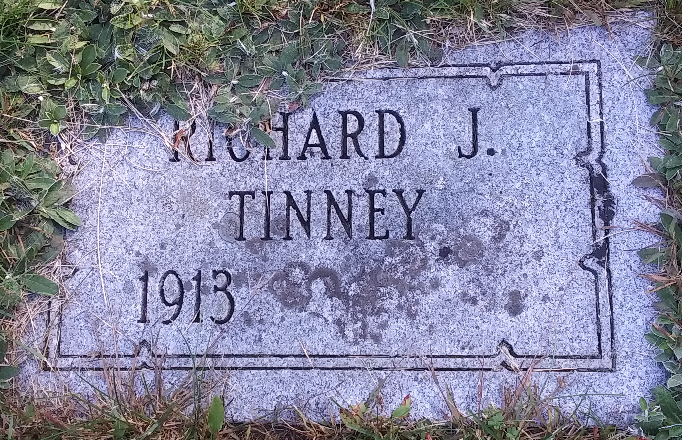 Richard J Tinney