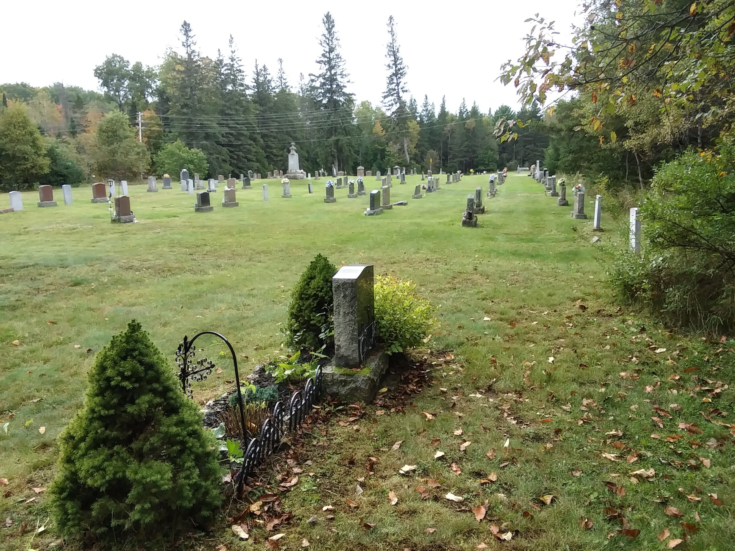 Mom's gravesite 2023 long view