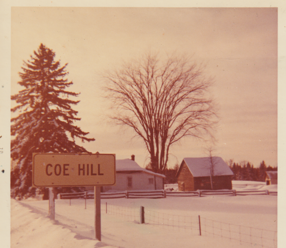 House before both trees cut down